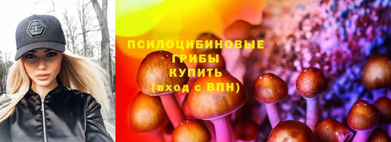 Галлюциногенные грибы Psilocybe  Кимовск 